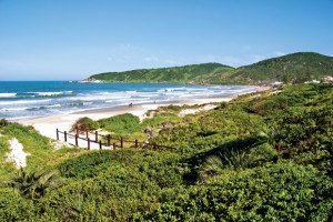 Praia do Rosa