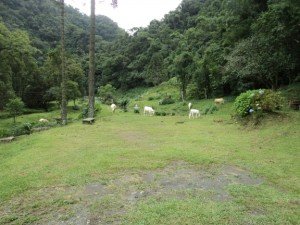 Agrolandia, Santa Catarina, Brasil