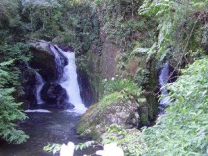 ANTÔNIO CARLOS, SANTA CATARINA, BRASIL