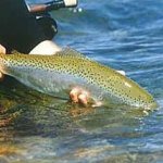 Pesca em Mondaí, Santa Catarina