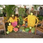 Frutas em Mondaí, Santa Catarina