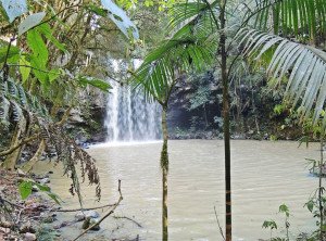 ATALANTA, SANTA CATARINA, BRASIL