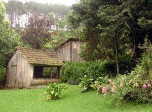 AURORA, SANTA CATARINA, BRASIL